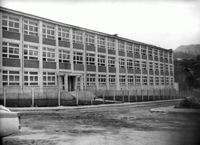 Lic_Nehoiu_1979_copy_1638777098_